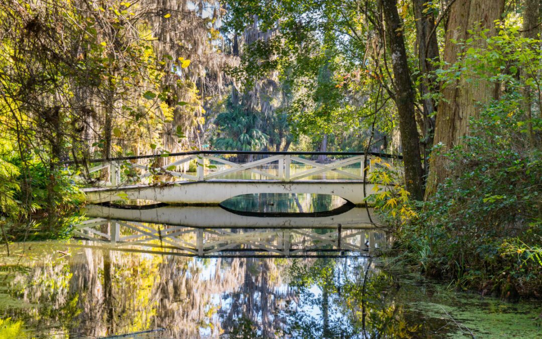 Is West Ashley A Good Place To Live In South Carolina? [Moving To West Ashley Guide]